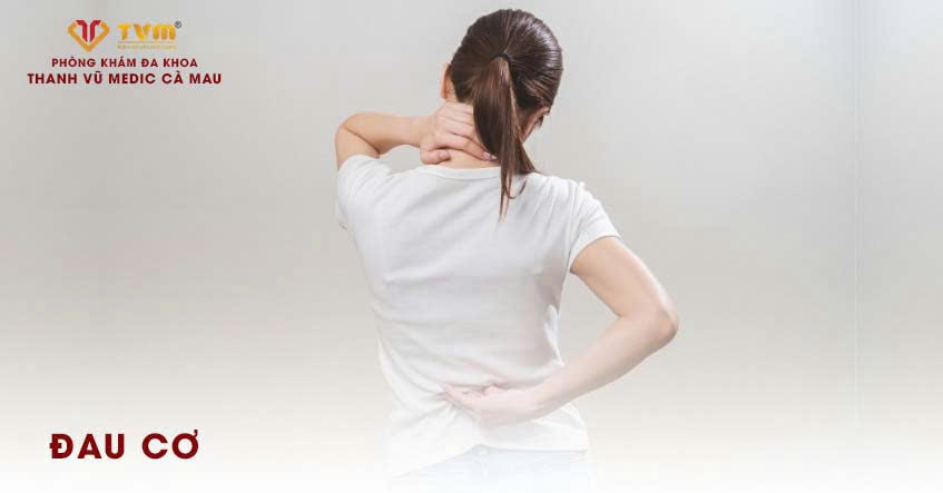 ĐAU CƠ LÀ GÌ? NGUYÊN NHÂN, TRIỆU CHỨNG VÀ CÁCH ĐIỀU TRỊ